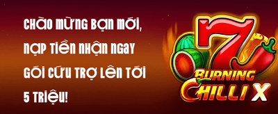 Siêu Ưu Đãi Đá Gà