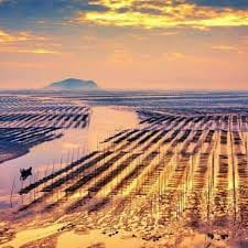 Huỳnh Thị Bảy avatar